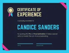 Experience Certificate