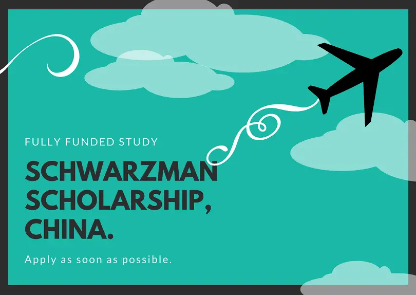 Schwarzman Scholarship china