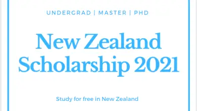 New Zealand Government Scholarship 2021
