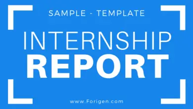 Internship Report Outline, Template, Sample, Example How to Write an Internship Report