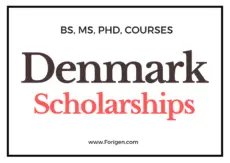 List of Top 10 Scholarships in Denmark