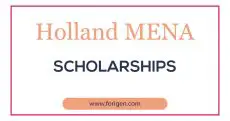 Holland MENA Scholarships