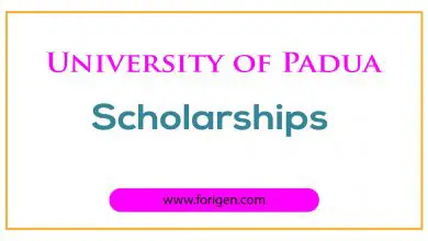 University of Padua Scholarships