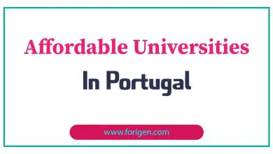 Affordable Universities in Portugal
