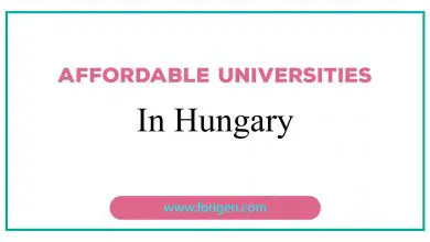 Affordable Universities in Hungary